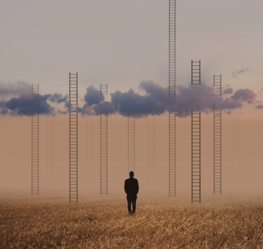Mikähän olisi viisas valinta? Kuva Hossein Zare http://www.mymodernmet.com/profiles/blogs/hossein-zare-photography